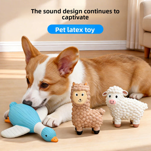 Latex chew toy for dogs