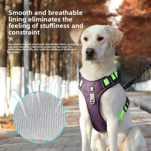Pet dog chest and back strap leash