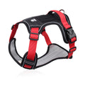 Pet dog chest and back strap leash