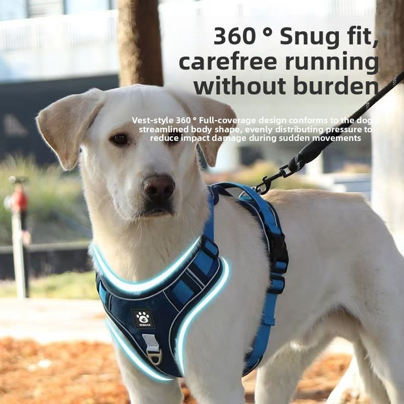 Pet dog chest and back strap leash