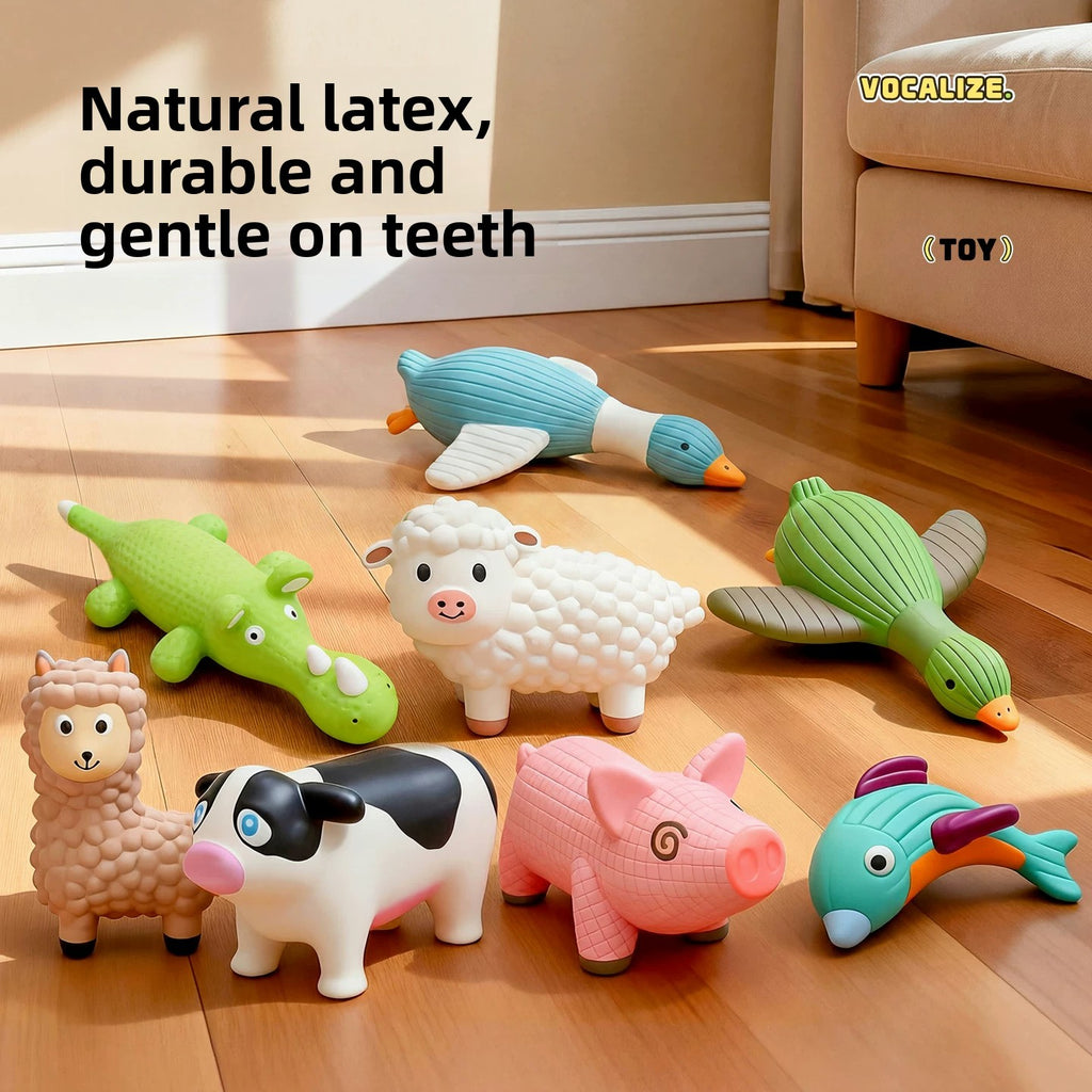 Latex chew toy for dogs