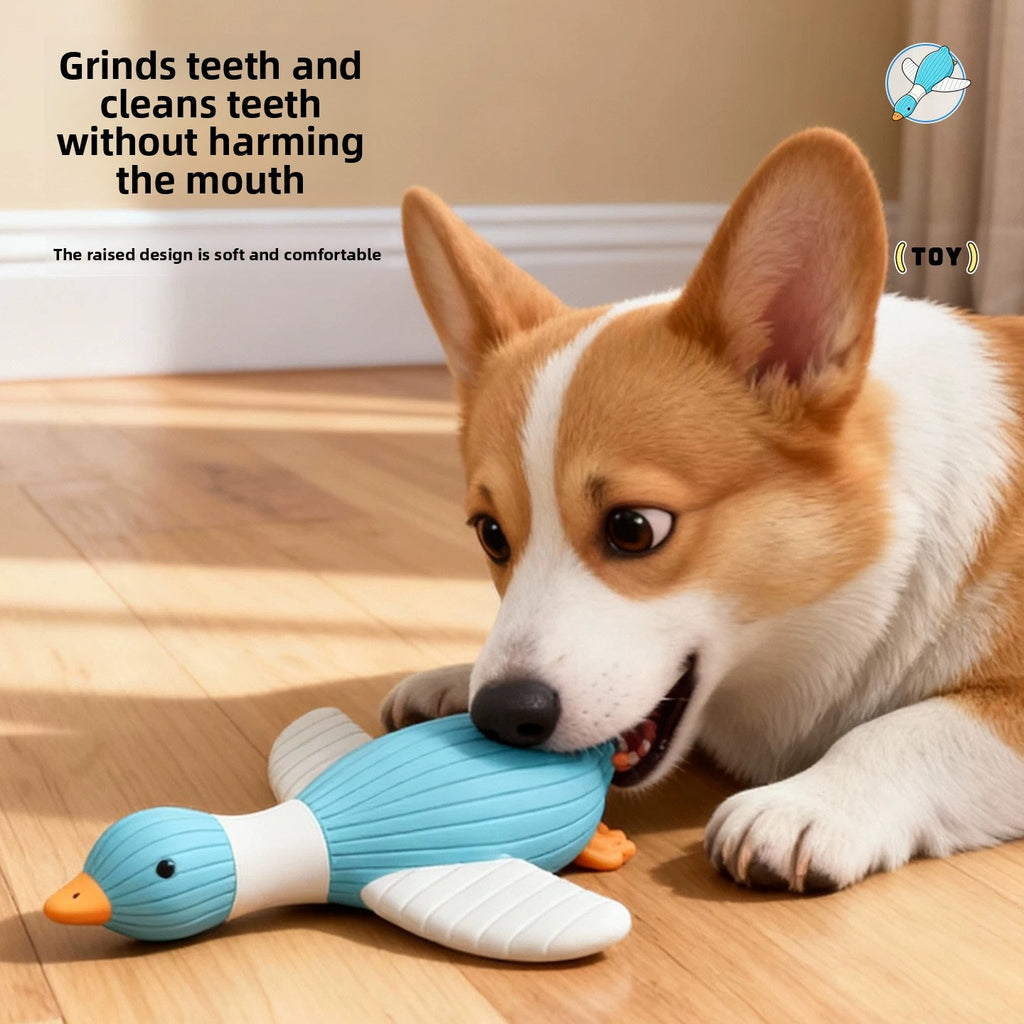 Latex chew toy for dogs