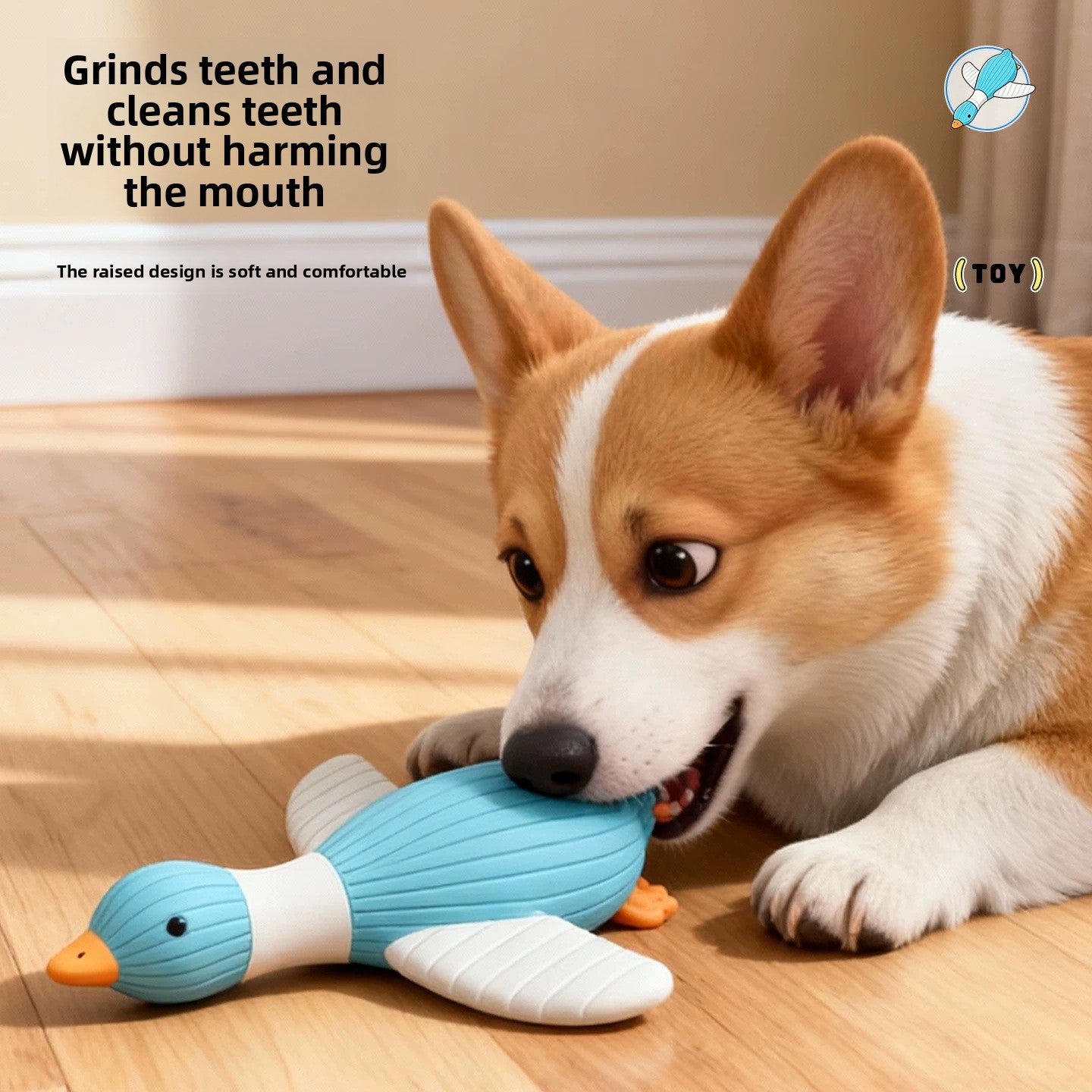 Latex chew toy for dogs