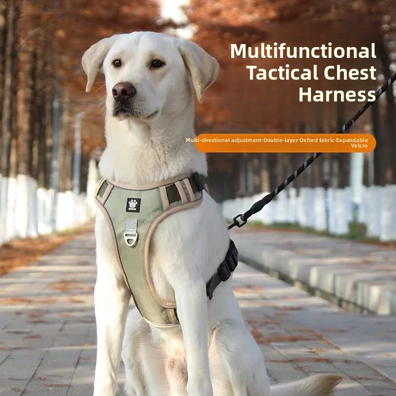 Pet dog chest and back strap leash