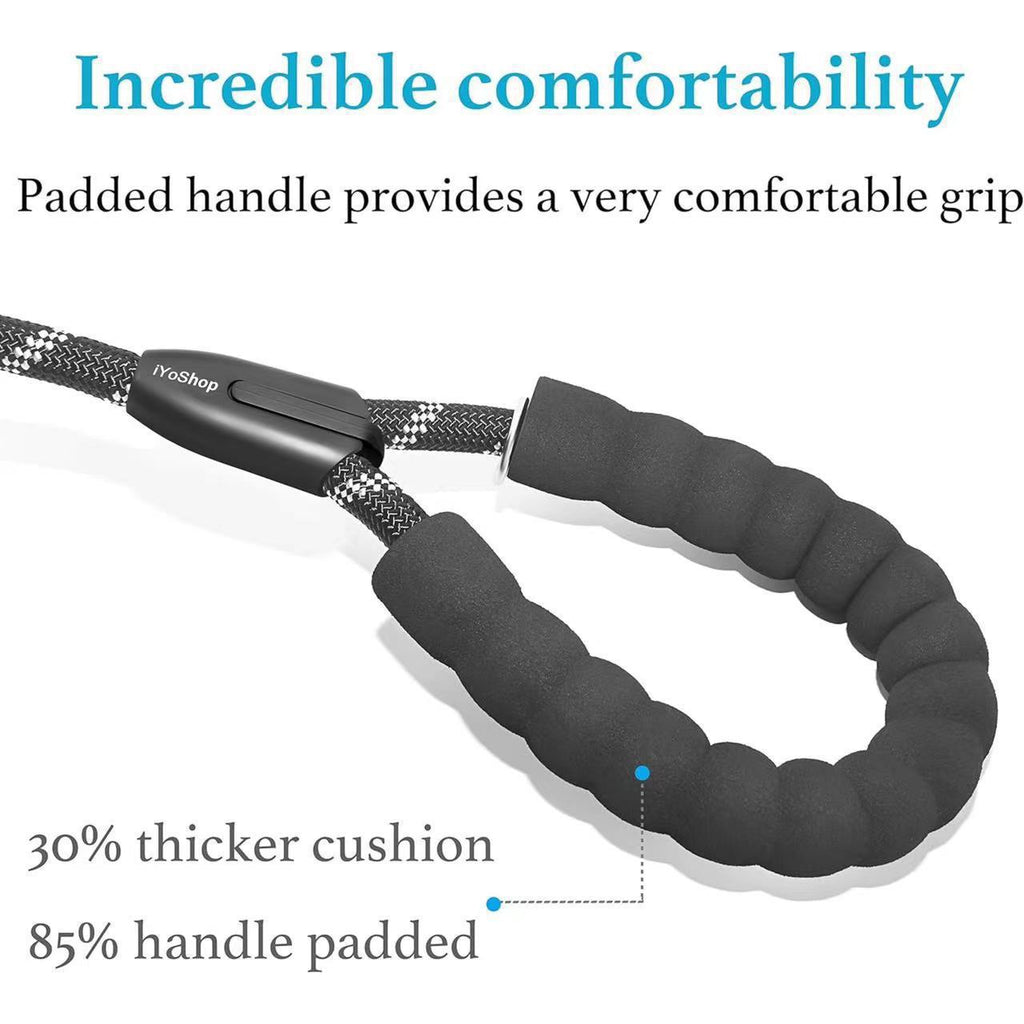 Pet dog leash