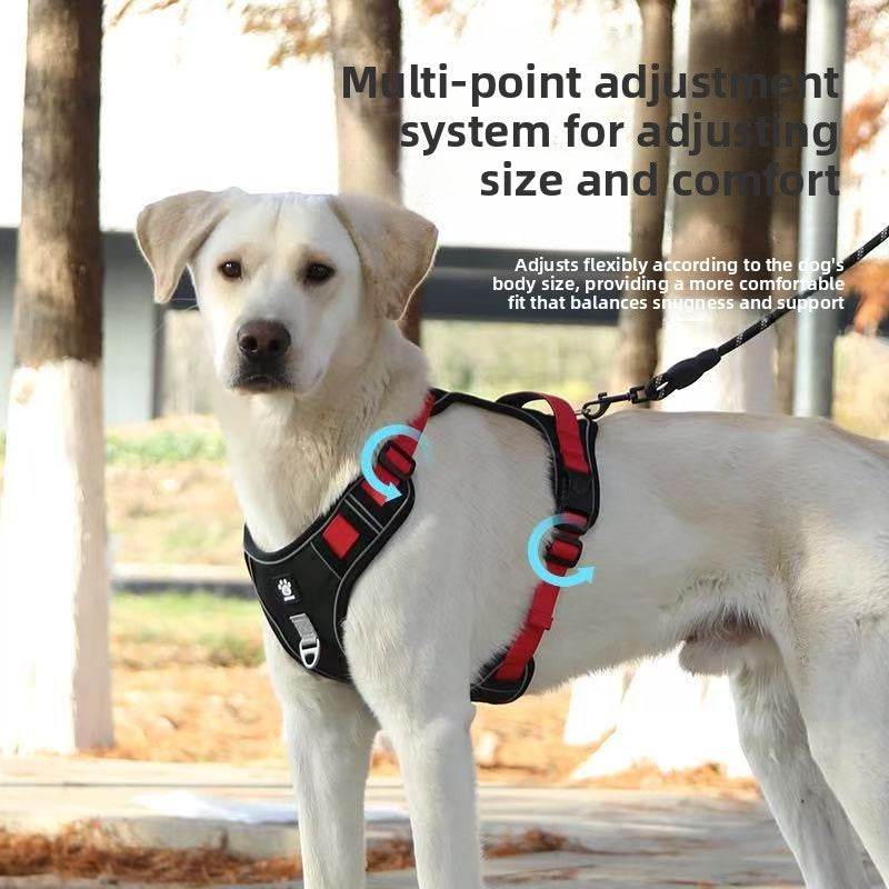 Pet dog chest and back strap leash