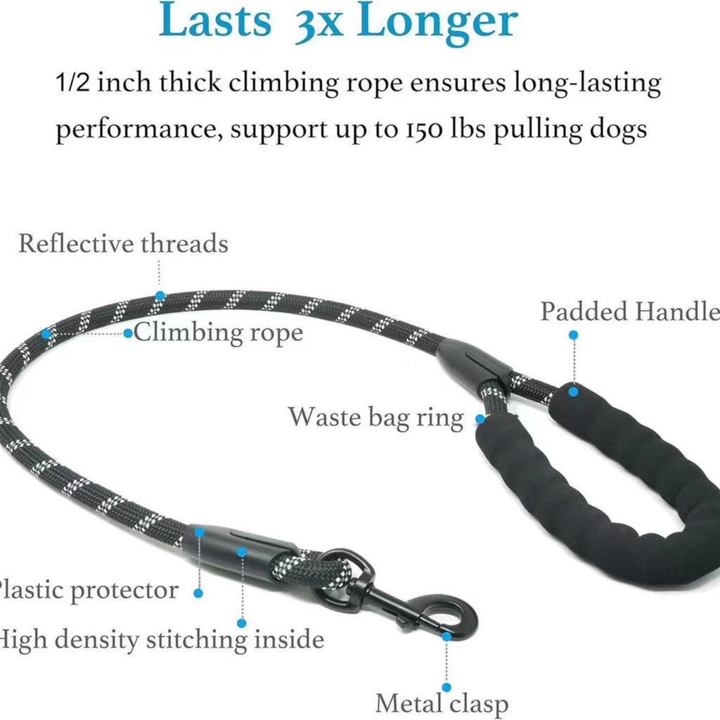 Pet dog leash